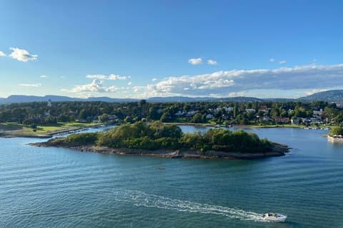 Private Shore Tour: Cruzeiro de barco em Oslofjord e SUP Island Escape