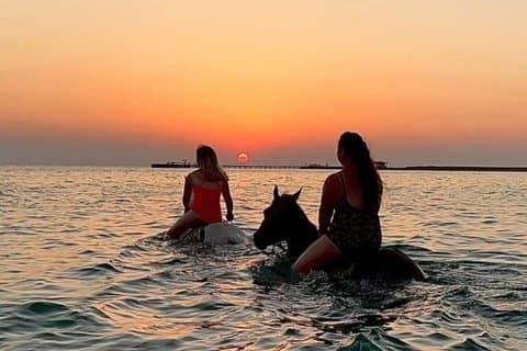Paseos a caballo, natación, desierto y playa en Hurghada