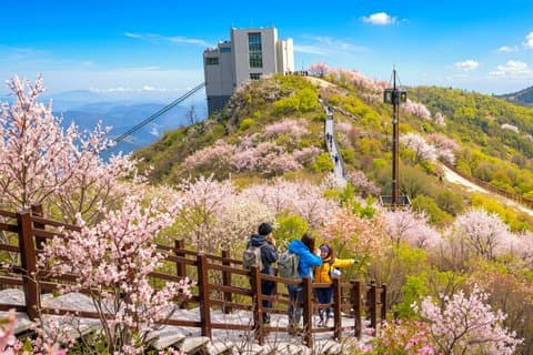 Busan buitenwijken Tour met Ice Valley kabelbaan & UNESCO Site