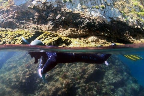 Dubbel snorklingtur i Faial, Azorerna