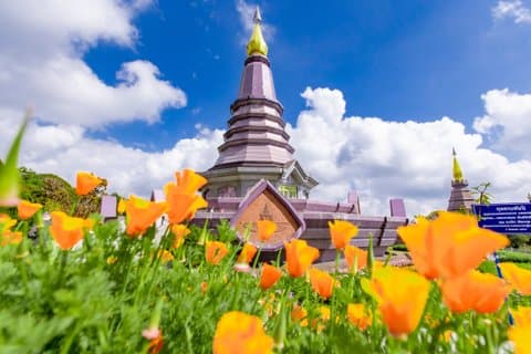 Heldag Doi Inthanon och Pha Dok Siew Trek från Chiang Mai