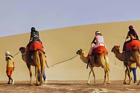 From Lima: Huacachina Sandboarding & Camel Farm fullday tour