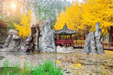 Excursión privada a la isla Nami y el jardín de la mañana desde Seúl
