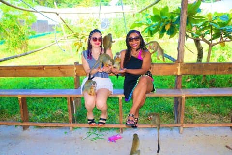 Puerto Plata Monkey Home Tour per minibusje