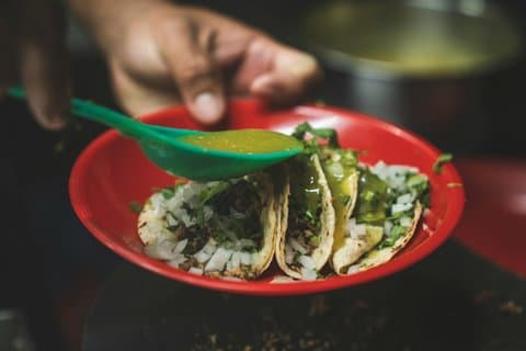 Spis sandheden Gastro Punk CDMX