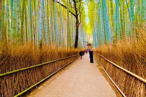 Arashiyama Beyond the Crowds: Bamboo Grove & Hidden Paths