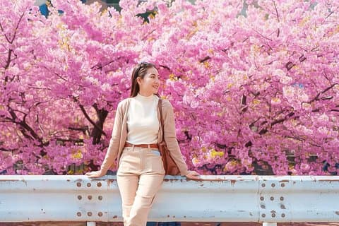 Eden Cherry Blossom and Nami Island Tour from Seoul