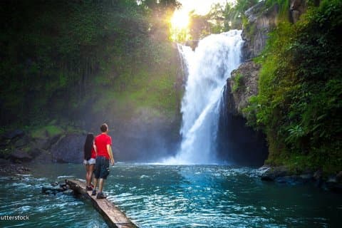Beste av Ubud: Waterfall, Rice Terrace, Monkey Forest & Temple