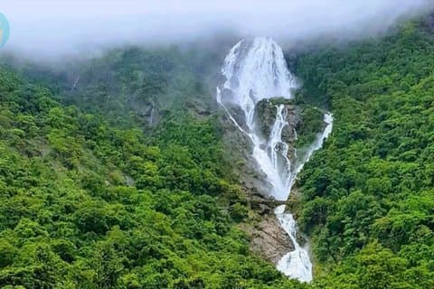 Dudhsagar Waterfalls Tour Jeep Safari and Spice Plantation Visit
