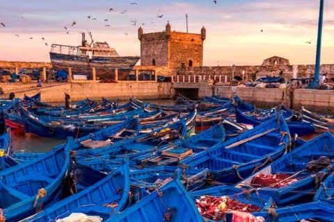Marrakech: Small Group to Essaouira Day Tour, Unesco & Beach