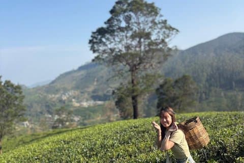 Privétour van een hele dag Nuwara Eliya vanuit Kandy