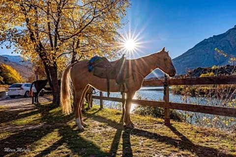 Horseback Ride along the Traces of Ancient Romans