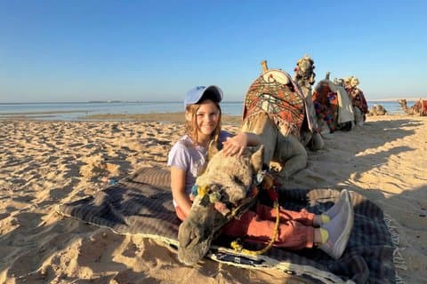 Paseo en camello por la playa o en el desierto de Hurghada
