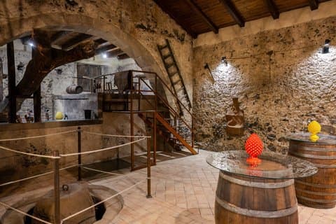 Alte Palmento Naturweine Erfahrung