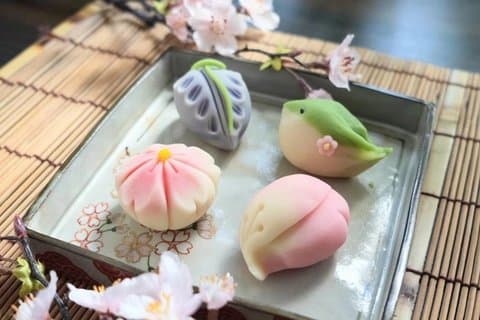 Creazione di Nerikiri Wagashi con cerimonia del tè