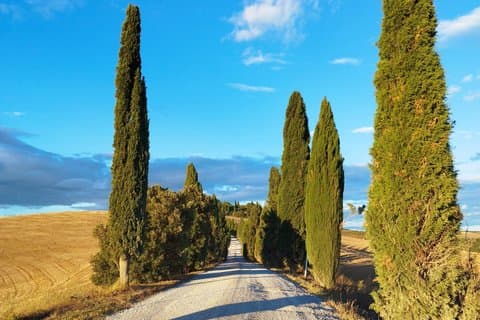 Udflugt til Kreta Senesi i Leonina