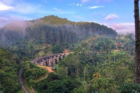 Ella Day Tour Sri lanka Nine Arch ,Train Ride & Little Adam Peak