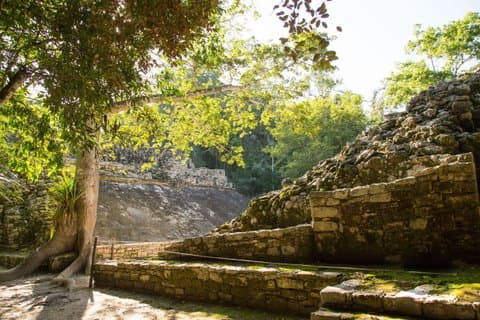 Coba Safari oplevelse