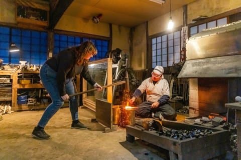 Japanese Sword Workshop & Himeji Castle Guided Tour from Kyoto