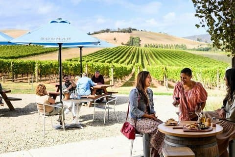 Yarra Valley Premium Vin Redwood Forest Dagstur Melbourne