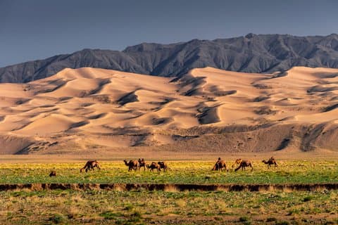 Oppdag underverkene i Gobi-ørkenen i Mongolia ️