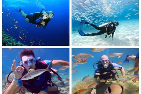 Marmaris : Plongée sous-marine pour débutants avec déjeuner et transfert