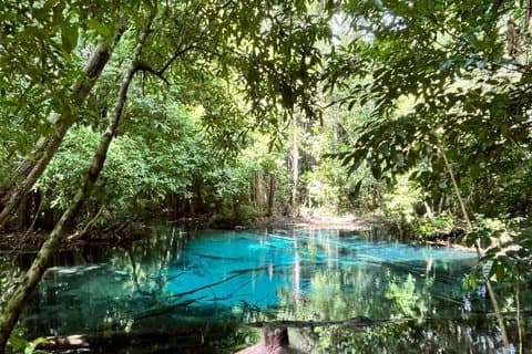 Krabi Jungle Tour, kleine groep van 9, volledige dag met lunch