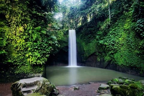 Beste Ubud Highlight Wasserfall All Inclusive