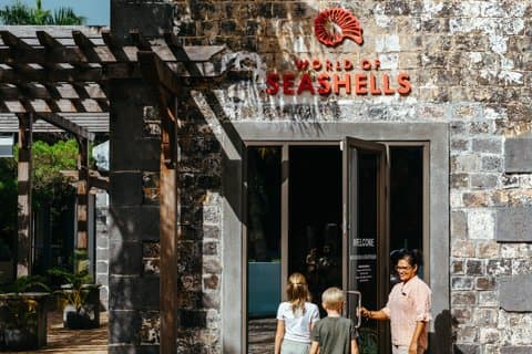Entrance Ticket to World of Seashells museum