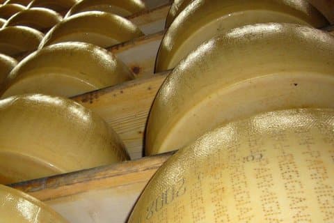 Modena Food Valley Tour Parmigiano Lambrusco and Balsamic Lunch