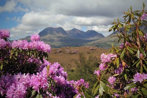 Hoteller i nærheden af Isle of Skye 5 - Day Highland Journey