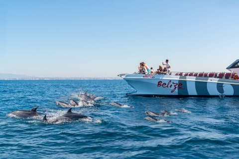 Portimao: Dolphins & Caves - Catamaran