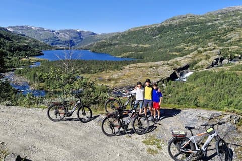 Erkunden Sie Norwegens Gebirge (2 Tage) mit dem Elektrofahrrad + Zug