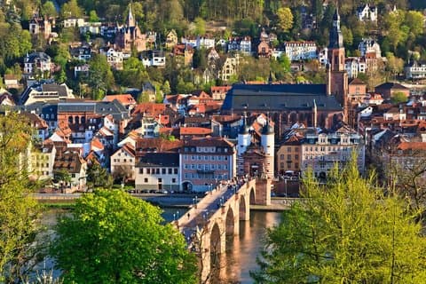 Heidelberg Heritage: Private Old Town and Castle Walking Tour