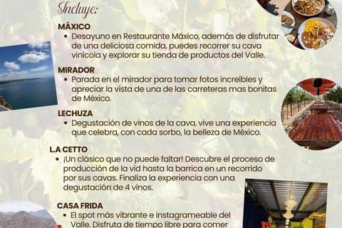 The most fun wine tour of the Guadalupe Valley
