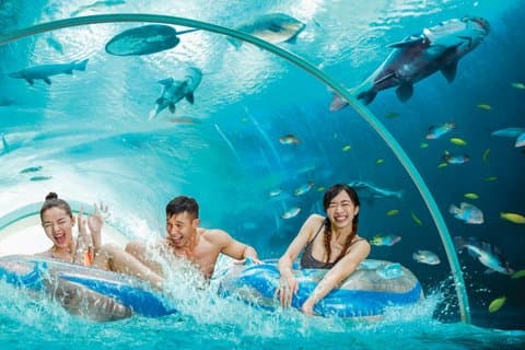 Toegangsbewijs voor Adventure Cove Waterpark