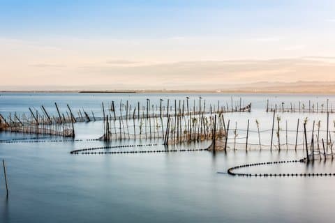 Reserva Natural de la Albufera & Orange Orchard Farm : Tour Privado