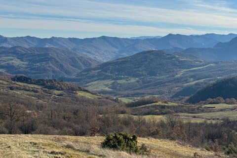 Caminhada consciente em uma floresta toscana escondida, som xamânico e chá