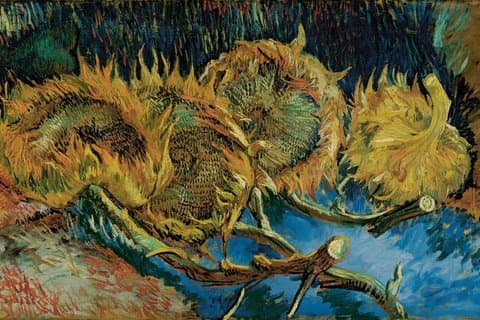 Van Gogh au musée Kröller-Müller et à la ville médiévale d'Elburg