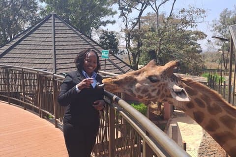 Beyond Boundaries Tours and Transfers