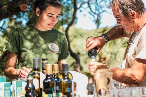Alghero Olive Grove Visit with Oil Tasting