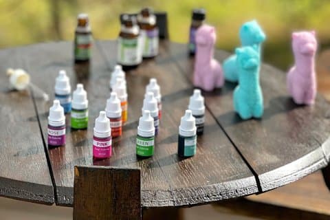 Atelier de fabrication de savon à la ferme, visite de Cinta Senese et déjeuner toscan