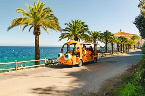 Privat guidad stadsrundtur upp till 12 passagerare