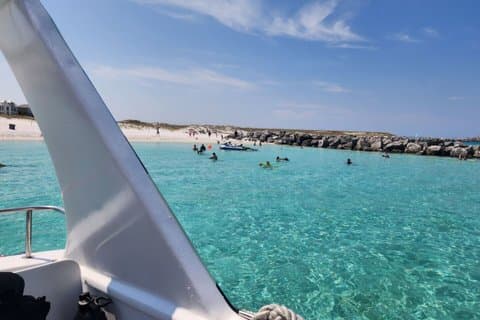 Crociera con snorkeling e delfini a bordo del Sea Blaster in Destin FL
