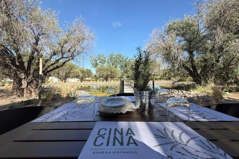 Tour del vino, pranzo in coppia e degustazione di olio d'oliva da Mendoza