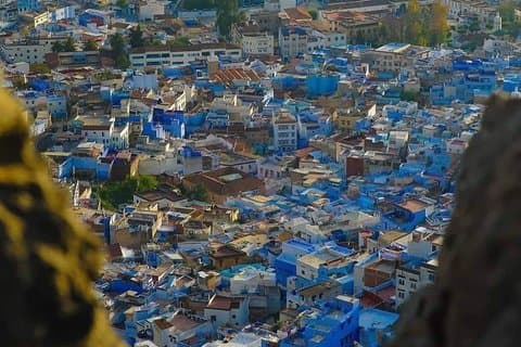 12 Days from Casablanca
