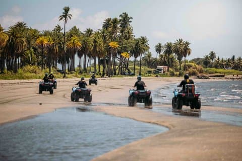 ATV Quad Bike Adventure Tour (vertrek Nadi)