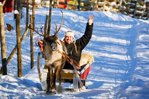 Paseo de renos Husky Conoce y saluda con Santa Claus Village