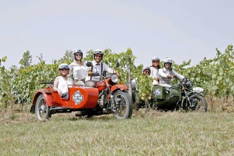 Excursão privada de meio dia na região de Entre-deux-Mers