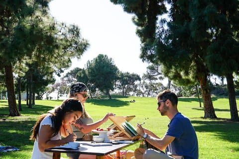 Experience the Art of Painting with Watercolors